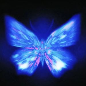 Butterfly（Prod.Roman）