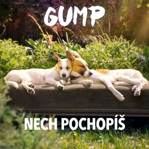Nech pochopíš (From "Gump")