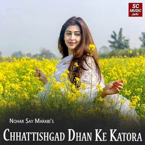 Chhattishgad Dhan Ke Katora