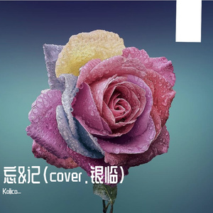 忘&记(cover.银临)