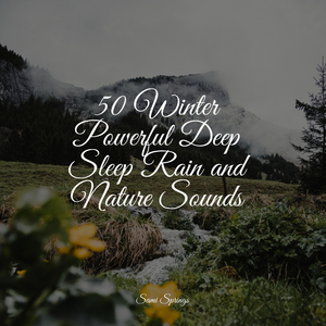 Ocean Waves (Medium)