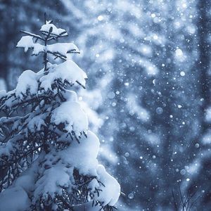 纸上雪-诗画中国2 (女声翻唱)