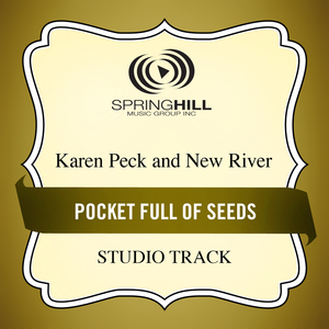 Pocket Full Of Seeds (Medium Key Performance Track Without Background Vocals)