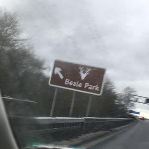 'For'