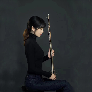 美丽的神话 (二胡版)