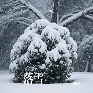 落雪