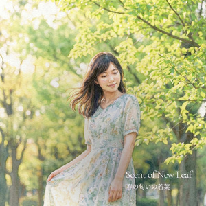 春の匂いの若葉