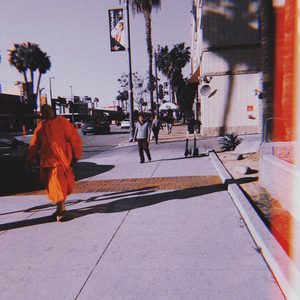 Beauty in a Wicked World (feat. Elle Belle)