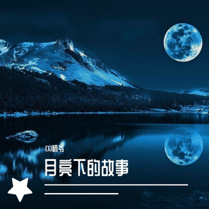 DJ师爷-月亮下的故事(DJ版)