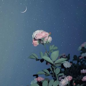 [FREE]*泪* 河南说唱之神Type Beat