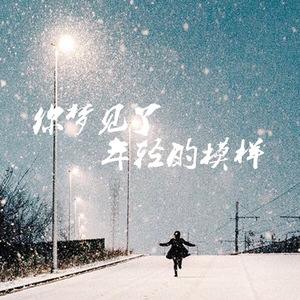 你梦见了年轻的模样（Cover 王喂马）