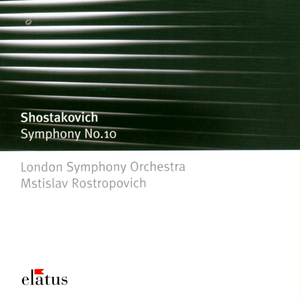 Symphony No.10 in E minor Op.93:II Allegro