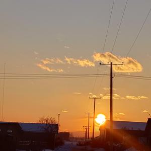 20210524_174208_2022-03-29_200557