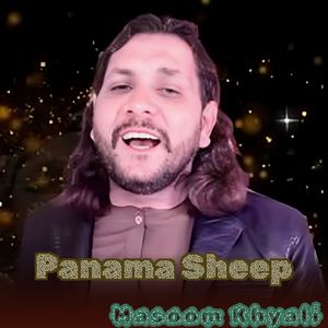 Panama Sheep