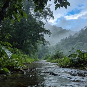 雨过后的风景 (热搜x伤感版)
