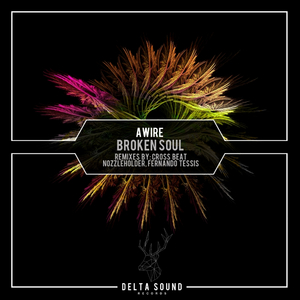 Broken Soul (Nozzleholder Remix)
