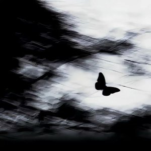 杀死那个石家庄人（吉他版）