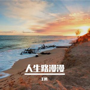 人生路漫漫 (烟嗓版)