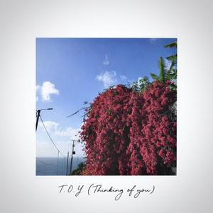 T.O.Y. (Thinking of you)