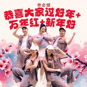 恭喜大家过好年 / 万年红 / 新年好