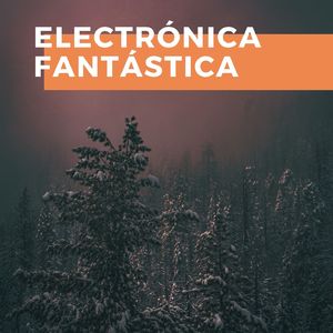 Electrónica Fantástica