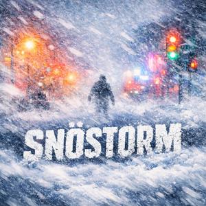 Snöstorm