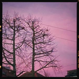 But you show so much promise