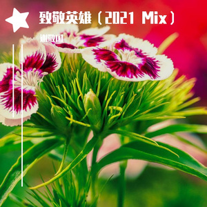 致敬英雄 (城诚旁白原始版)