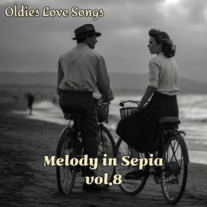 Two Bicycles Near the Shore