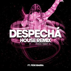 Despechá (House Remix) (Remix)