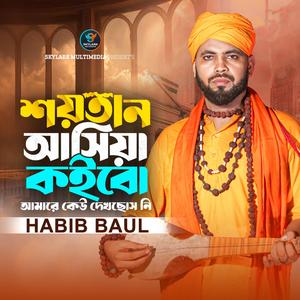 বিশ্বজুড়ে আছে শয়তান ইতিহাসে দেখতে পাই | হাবিব বাউল হাজীগঞ্জ | Habib Baul Haziganj