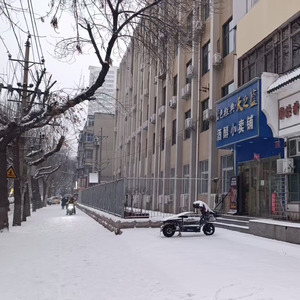雪落之后