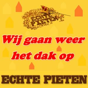 Wij gaan weer het dak op