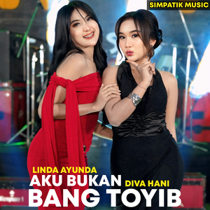 AKU BUKAN BANG TOYIB