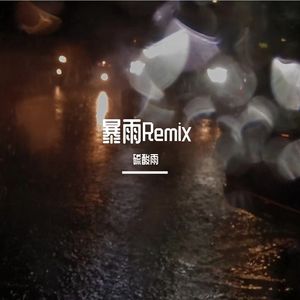 暴雨remix