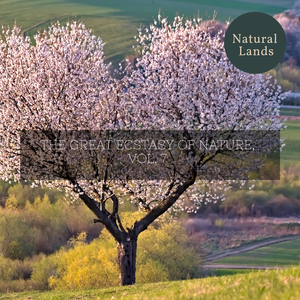 Let's Fight the Morning