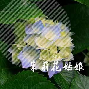 成人之美，美美与共