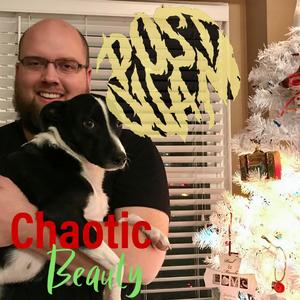 Chaotic Beauty