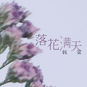落花满天（DJ版）