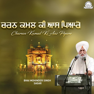 Tera Naam Kari Channathia