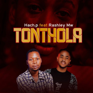Tonthola