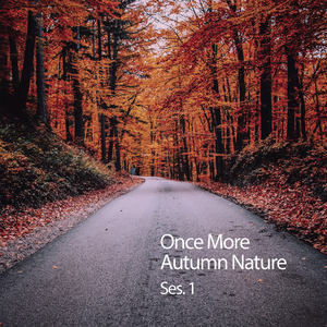 Music For Sleep Soothing Relaxation