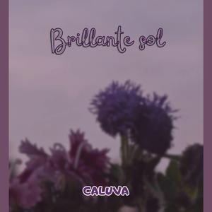 Brillante sol