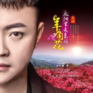 太阳里走来的羊角花