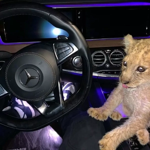 The Weeknd-The Hills（Hr remix）