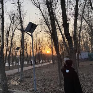 歌名叫什么 钢琴旋律