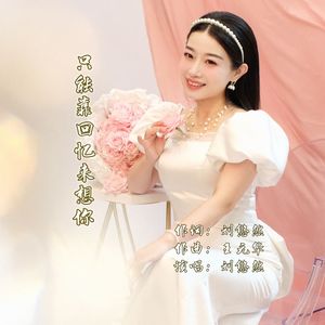 只能靠回忆来想你