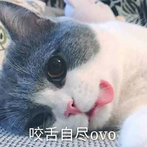 分手的距离（Cover 李魏西）