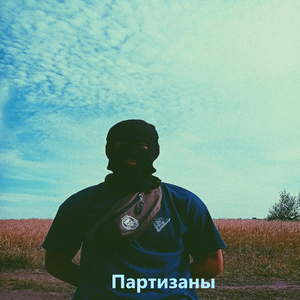 Партизаны