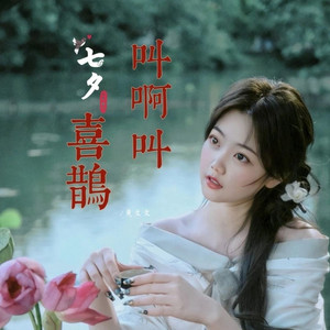 喜鹊叫啊叫 (DJ童子妹版伴奏)